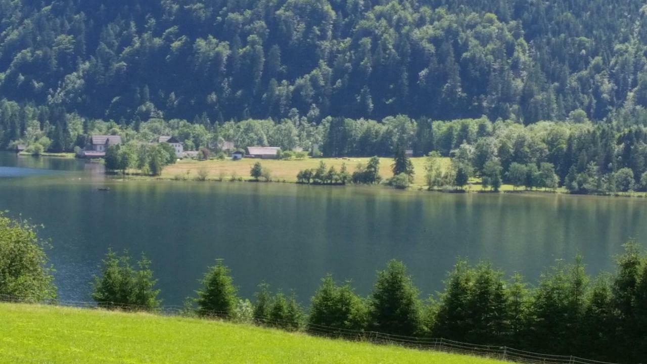 Ferienwohnung Haus Cerny Bad Goisern Exteriér fotografie