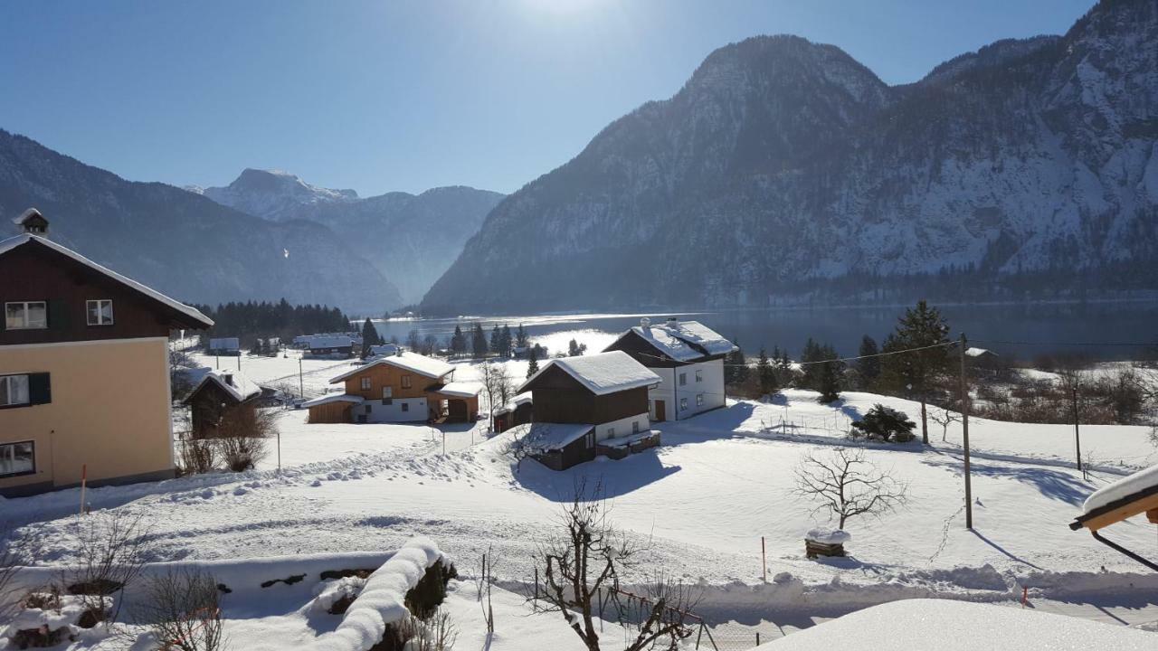 Ferienwohnung Haus Cerny Bad Goisern Exteriér fotografie
